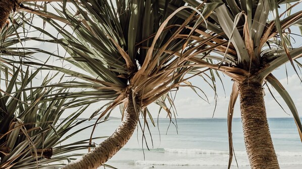 On the beach - Belmore Palms 2 Min to Surfie Village Beach (Noosa)