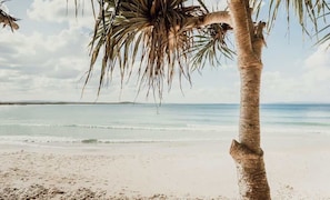 Une plage avec un palmier et une vue dégagée sur l’océan.
