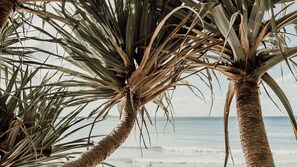 Beach - 3 Andari Sunshine Beach Modern Apt 1 Min Beach (Noosa)