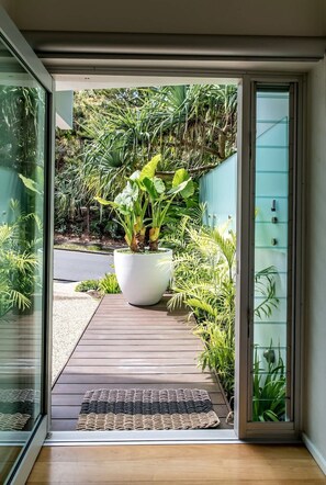 A modern entrance with a glass door, a wooden deck, and a large potted plant.