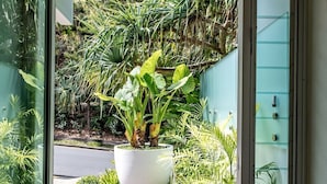 A modern interior with a glass door leading to a wooden deck and a large potted plant. - The Boat House Luxury Beachside with Heated pool (Noosa)