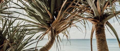 Ubicación cercana a la playa