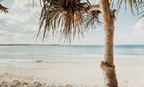 Ein Strand mit einer Palme, blauem Himmel und ruhiger See.