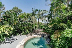 A pool surrounded by lush tropical vegetation, with lounge chairs and a stone wall. - The Rest Family Cottage with Resort Style Pool (Noosa)