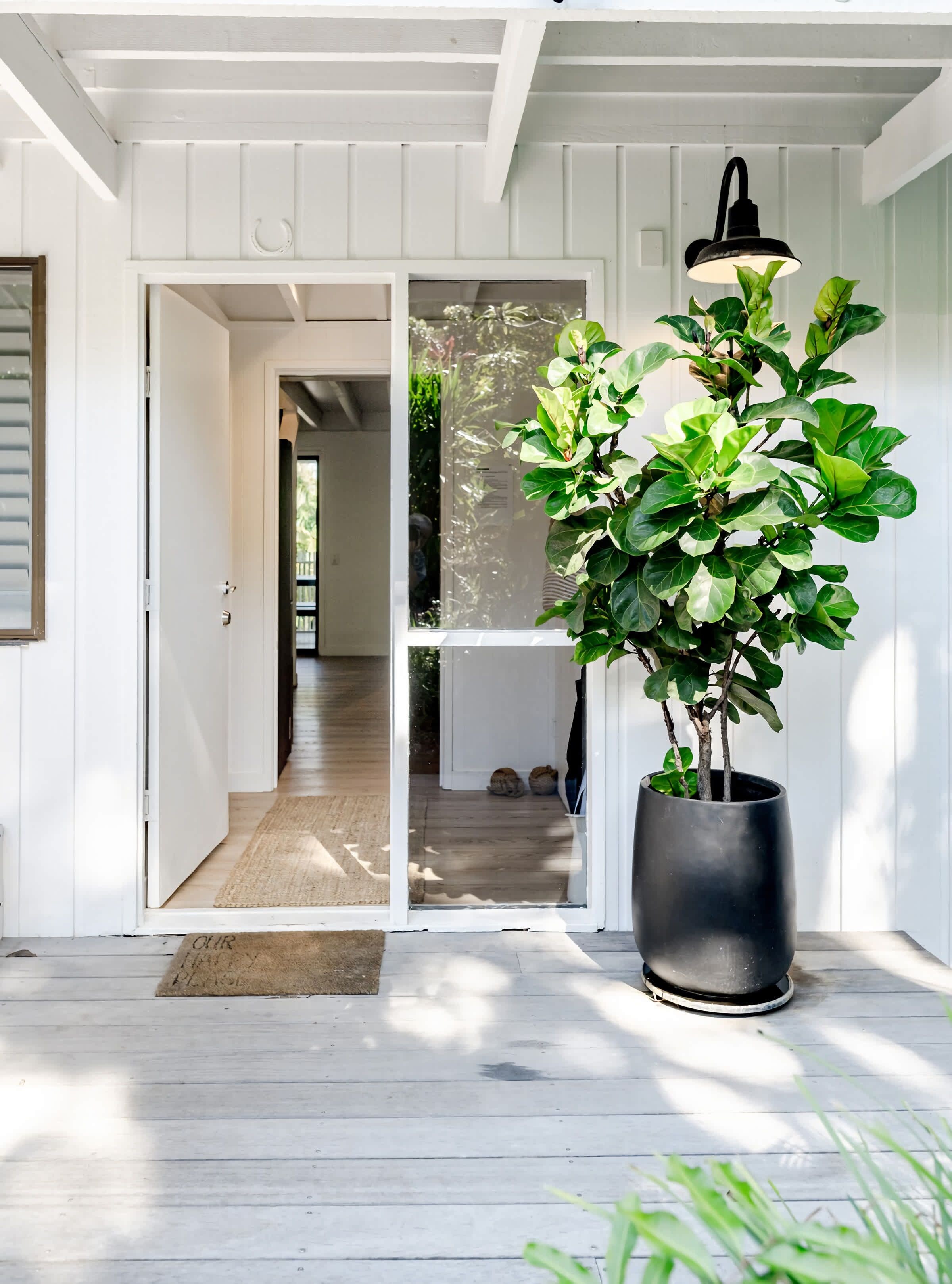 Uma porta de madeira que dá para um corredor, uma planta em vaso e um acessório de luz preto para área externa.