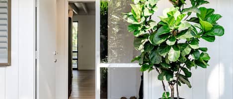 Uma porta de madeira que dá para um corredor, uma planta em vaso e um acessório de luz preto para área externa.