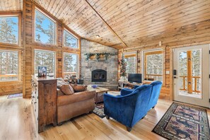 Smart TV, fireplace, books
