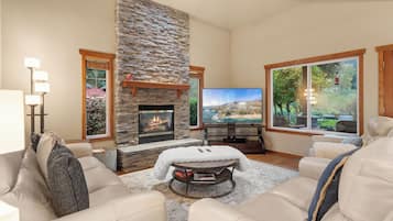 Smart TV, fireplace, books