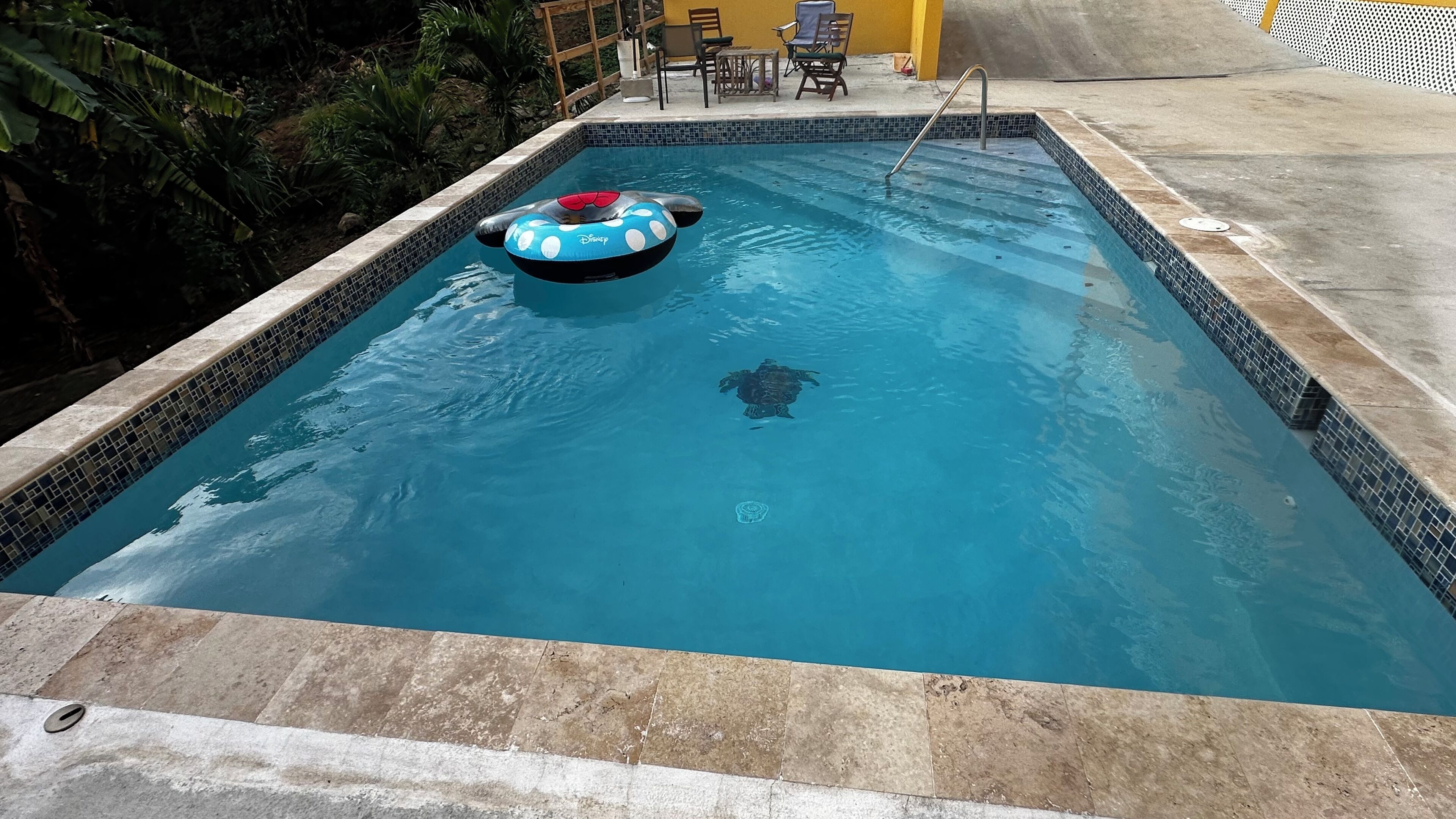 室外泳池、暖水池