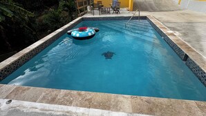 A swimming pool with a blue inflatable toy, a tiled edge, and a concrete deck with chairs and a table. - Scott Beach Villa #3 (St Thomas)