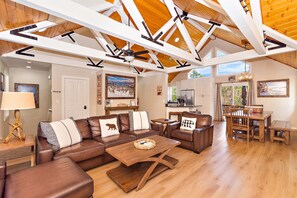 TV connectée, cheminée, jeux vidéo, lecteur de DVD