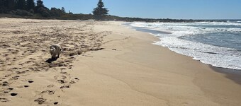‘The Smithy’ - Newly renovated coastal home with a 5 minute walk to the beach