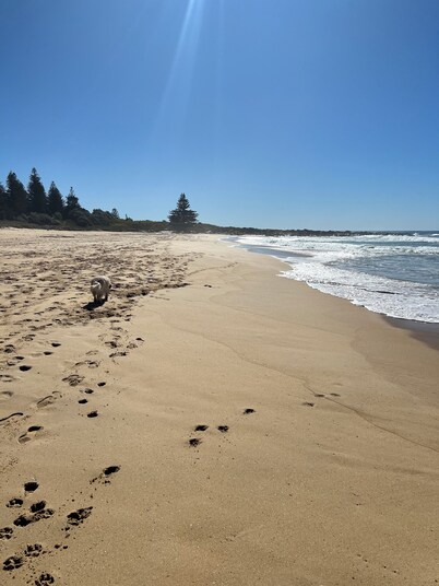 ‘The Smithy’ - Newly renovated coastal home with a 5 minute walk to the beach