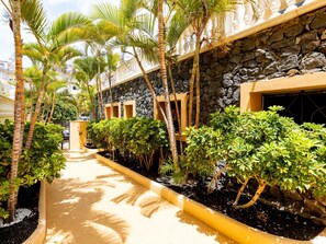 Property grounds - 9 Parque Tropical Apartamento Los Cristianos (Los Cristianos)