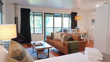 TV, fireplace, DVD player, books