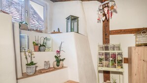 A room with a window, a shelf with potted plants, a hanging plant, and a birdcage. - Apartment 'Lemkamp Klein' with Wi-Fi (Markdorf)