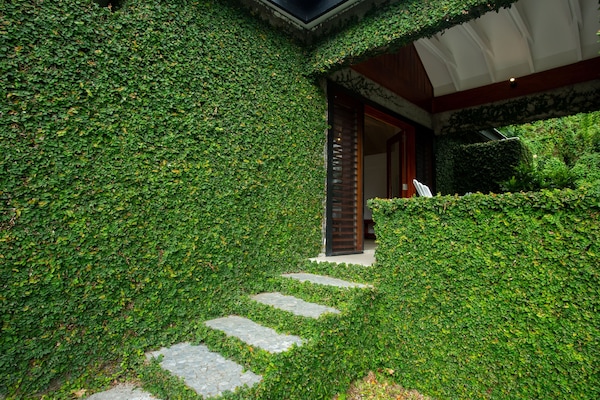 Deluxe Tek Büyük Yataklı Oda, 1 En Büyük (King) Boy Yatak, Sigara İçilmez, Bahçe Manzaralı | Dış mekân