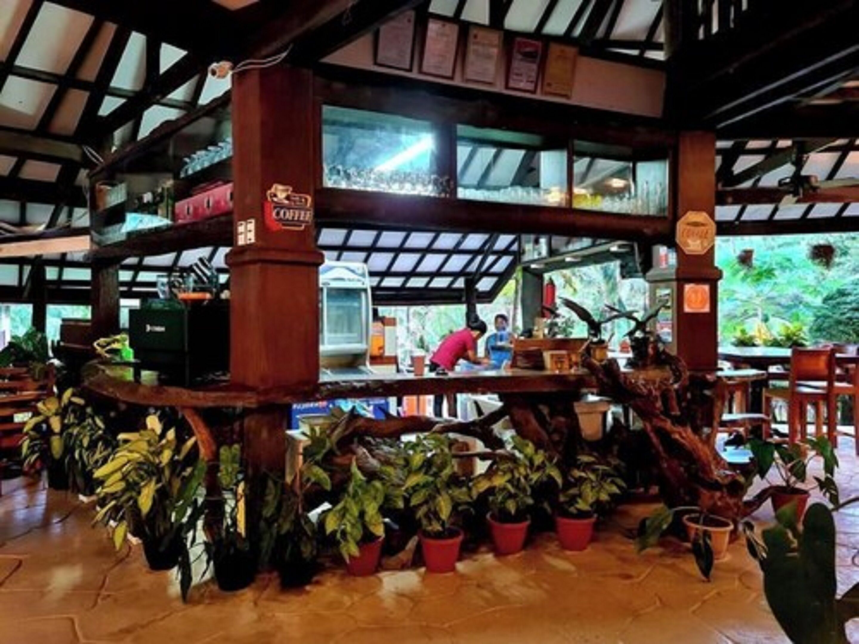 A restaurant with a wooden interior, multiple potted plants, and a counter where people are dining.