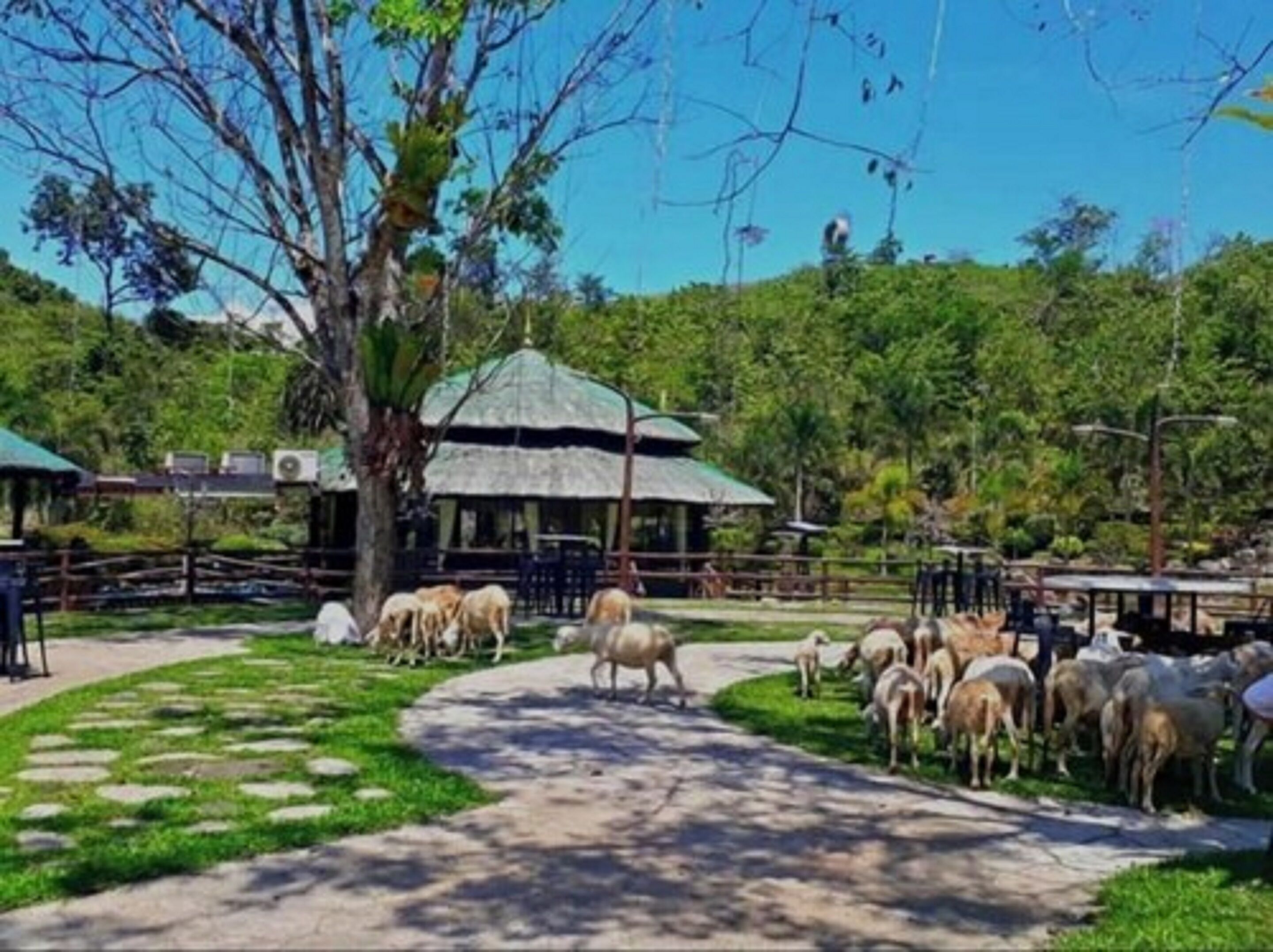 A pathway leading to a gazebo surrounded by lush greenery and a herd of sheep.