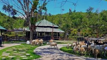 A pathway leading to a gazebo surrounded by lush greenery and a herd of sheep.
