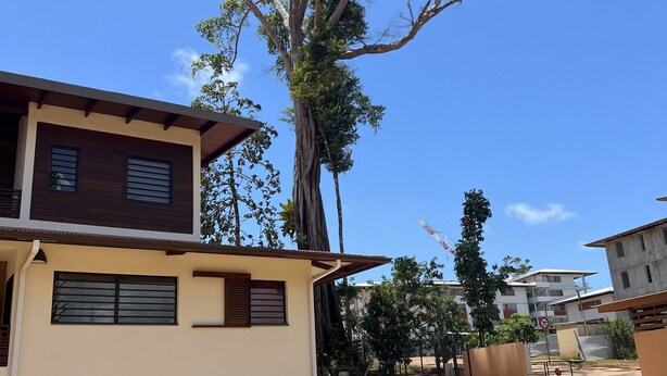 Una casa de dos pisos con un árbol grande en el patio trasero.