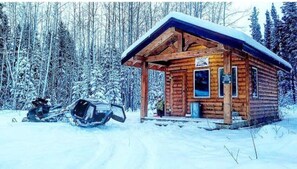 Cozy cabin nestled among snow-covered trees, offering a peaceful retreat.