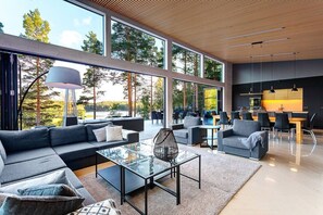 Télévision, cheminée, chaîne hi-fi