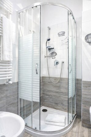 Shower, hair dryer, bidet, towels