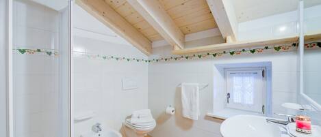 A bathroom with a shower, toilet, bidet, sink, and a mirror.