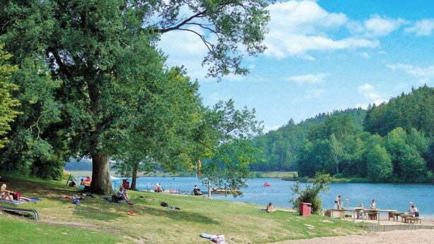 Un parque junto al lago con zonas de picnic, una playa de arena y un gran árbol que ofrece sombra.