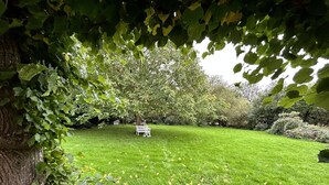 A well-maintained grassy lawn with a white bench and a tree in the background. - Teyhörn in the Pilsumer Hof from 1551 (Krummhörn)