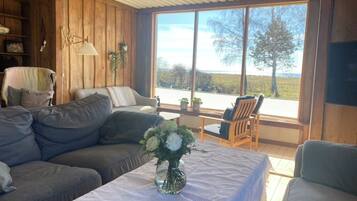 Smart-tv, pejs, bøger