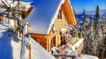 Un chalet en bois, dont le toit est recouvert de neige, entouré d’arbres et de montagnes enneigés.