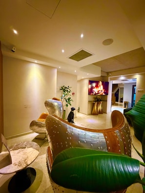 Una sala de estar moderna con un sofá, una silla, un perro y una chimenea.