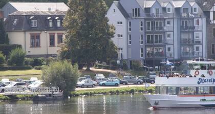 Apartment with fantastic view of river and vineyards