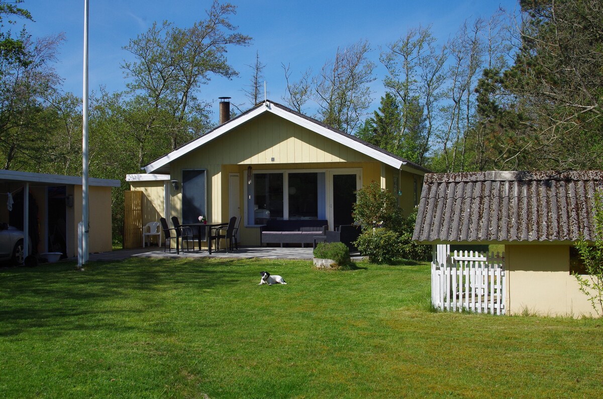 Image de profil de l’hôte