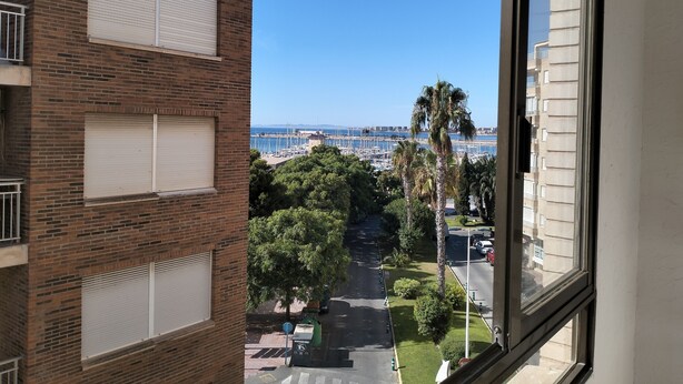 Vista desde una ventana hacia un puerto deportivo con barcos, palmeras y un cielo azul despejado.