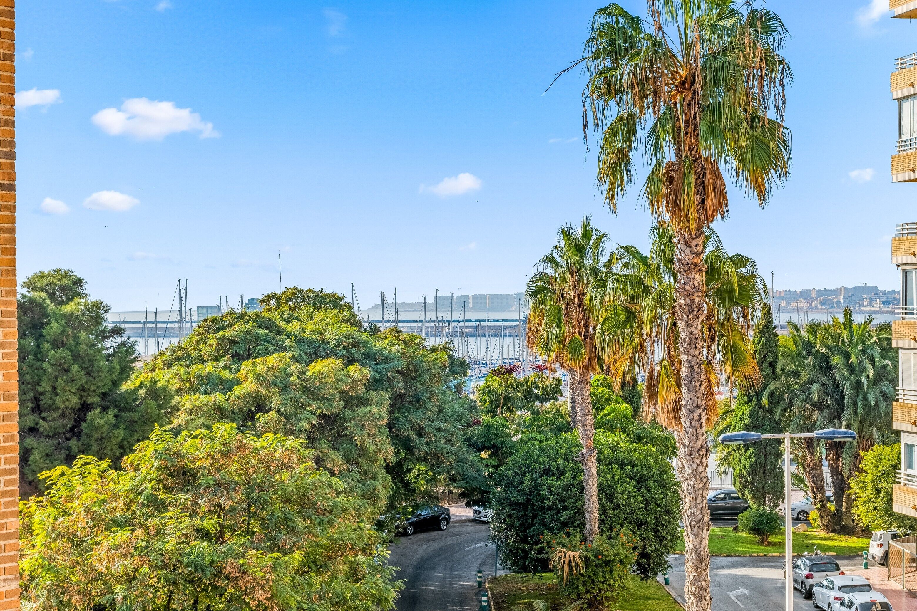 Una zona residencial con una carretera curva, palmeras y un puente a lo lejos.