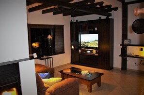 TV, fireplace, video games, DVD player