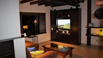 Televisión, chimenea, videojuegos y reproductor de DVD