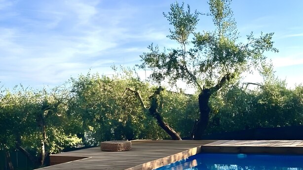 Ein Schwimmbad mit Holzterrasse, umgeben von Bäumen und blauem Himmel.