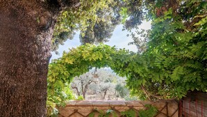 Un mur de pierre surmonté d’une arche en treillis recouverte de feuillage verdoyant, qui mène à un point de vue sur des arbres et un ciel dégagé.