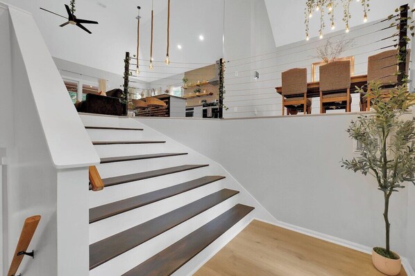 Interior - Welcome to the Urban Jungle (Rex)