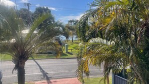 Une vue de rue avec des palmiers, une zone herbeuse et un banc.