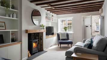 TV, fireplace, DVD player, books