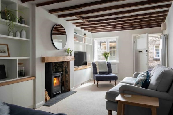 Una televisión, una chimenea, un reproductor de DVD, libros