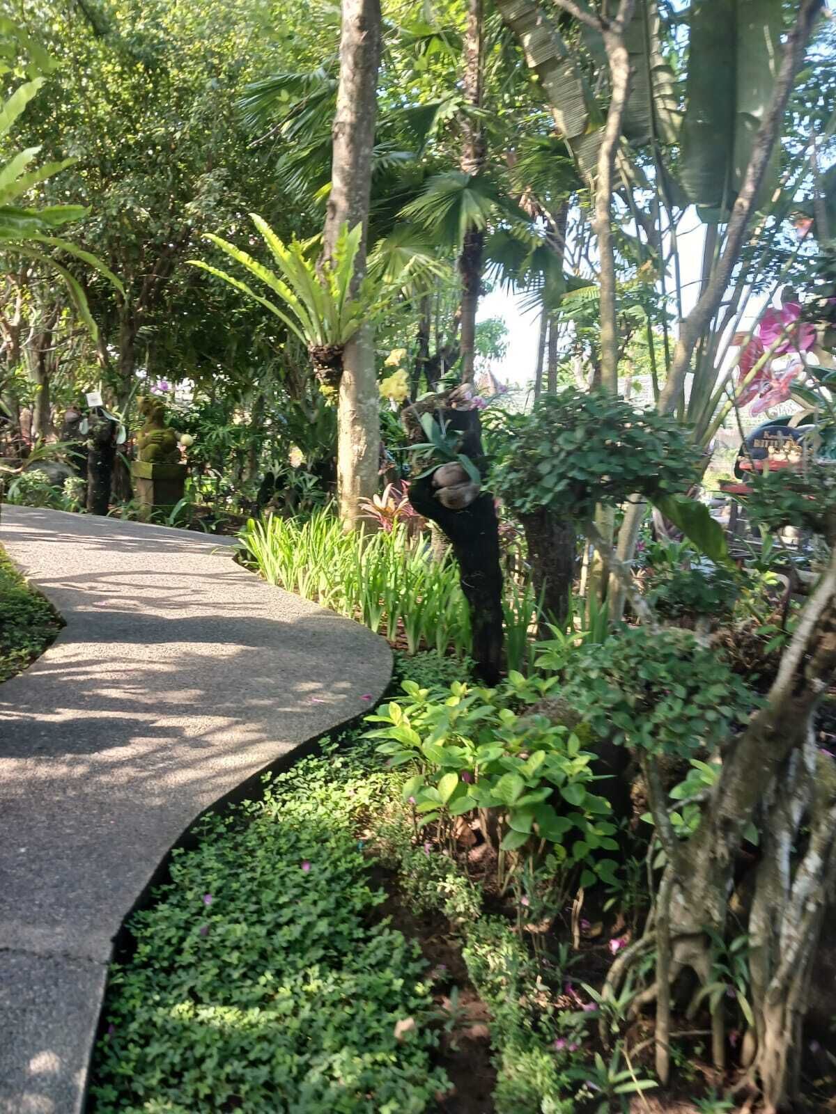 Un sendero serpentea por un jardín exuberante con diversas plantas y árboles.