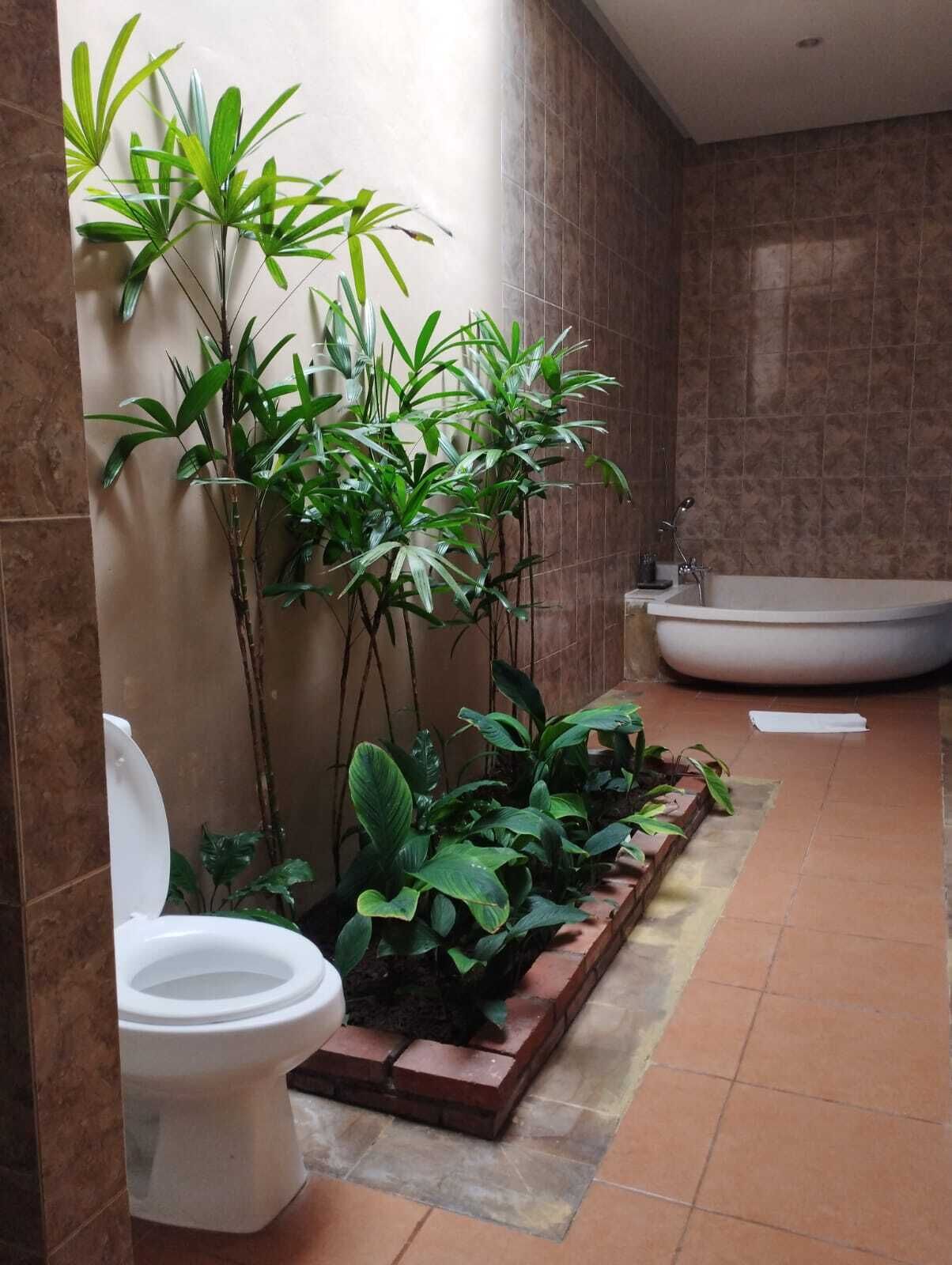 A bathroom with a toilet, a bathtub, and several green plants.