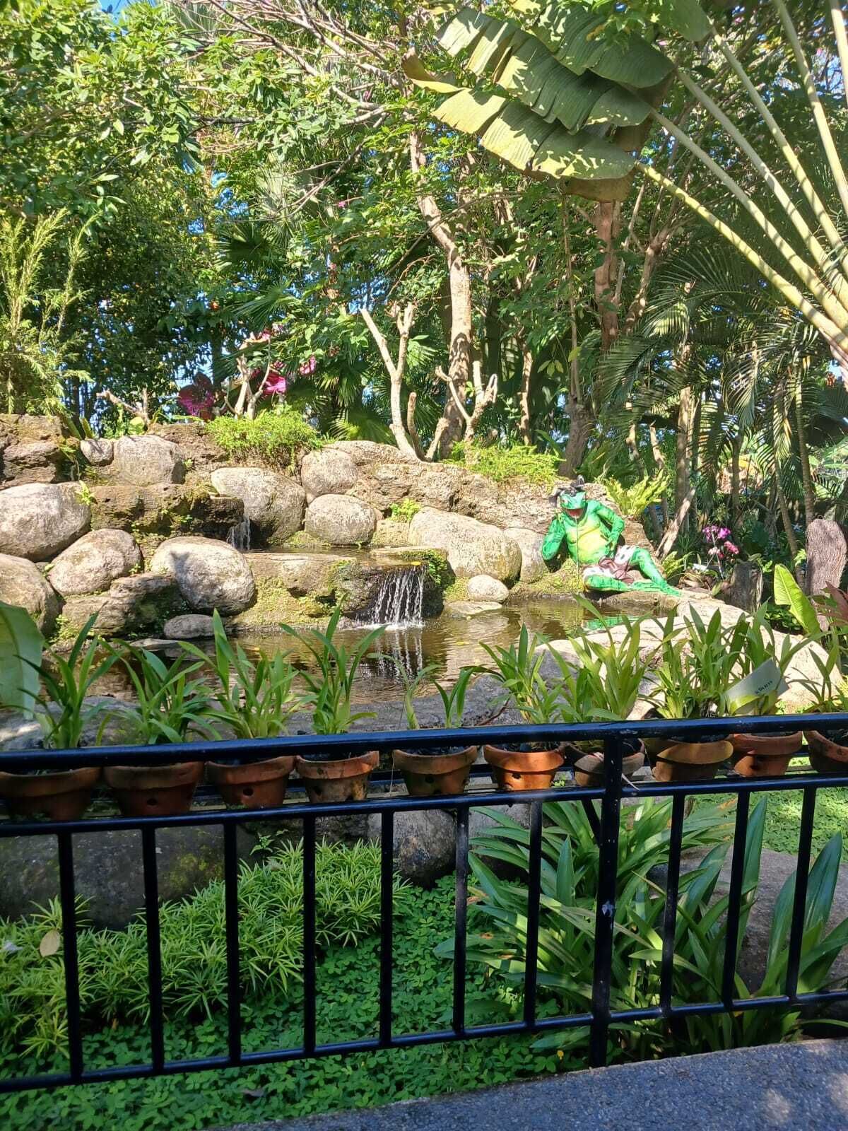 A garden with a pond, rocks, and a statue.