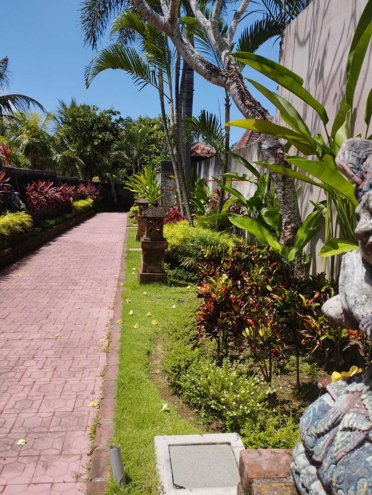 A paved pathway leading through a tropical garden with palm trees and various plants.